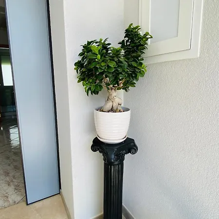 ベッド・アンド・ブレックファスト 1898 - Colonna