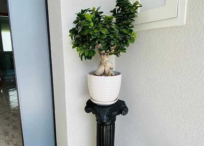 Bed and breakfast 1898 - Colonna